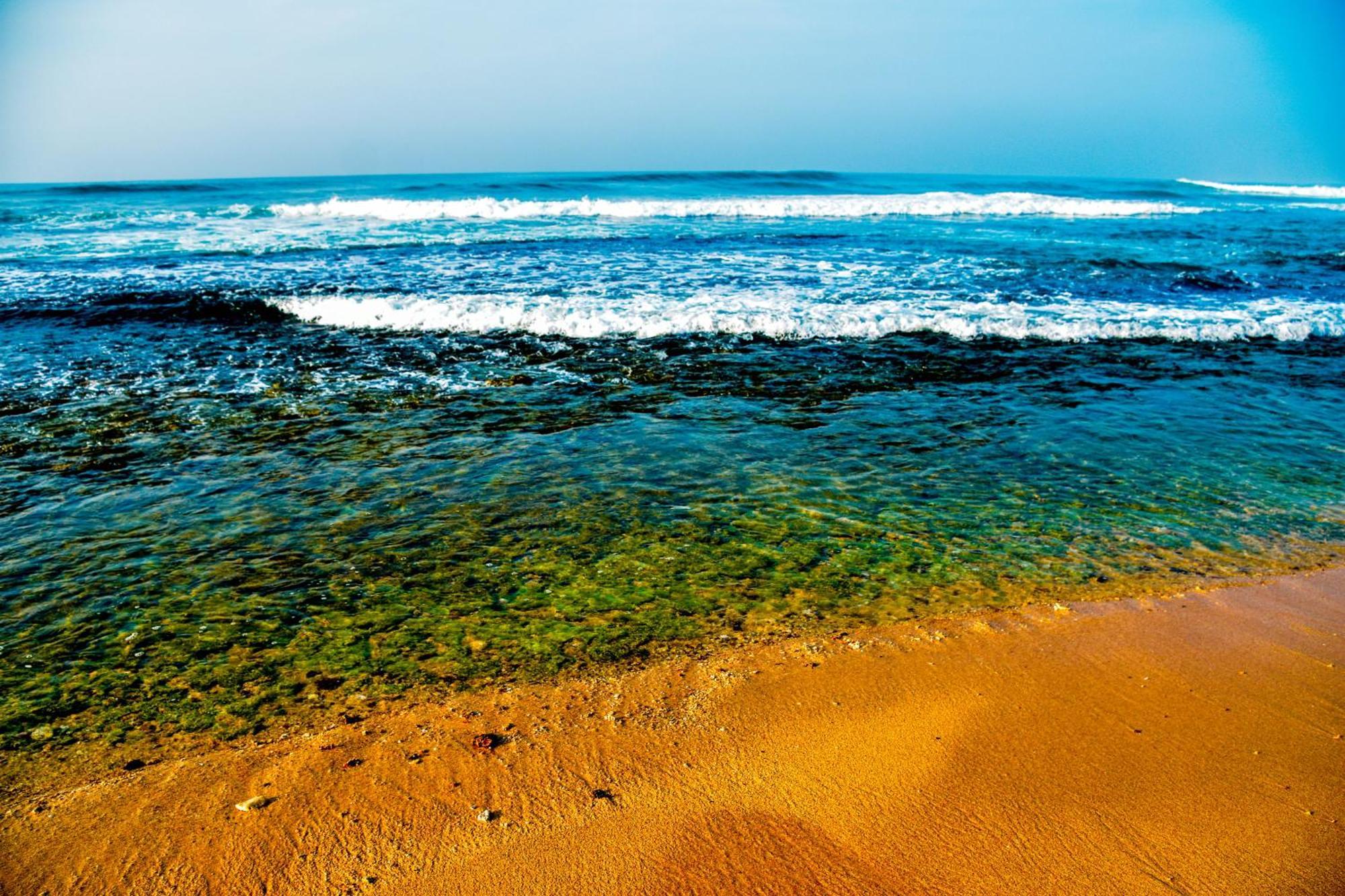 Ara Beach Resort Mirissa Εξωτερικό φωτογραφία